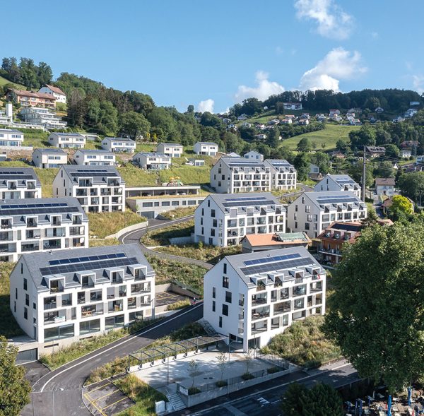 IMG_1737-e1705144720215