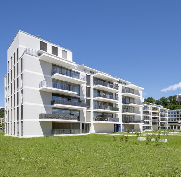 IMG_2388-e1709314126482